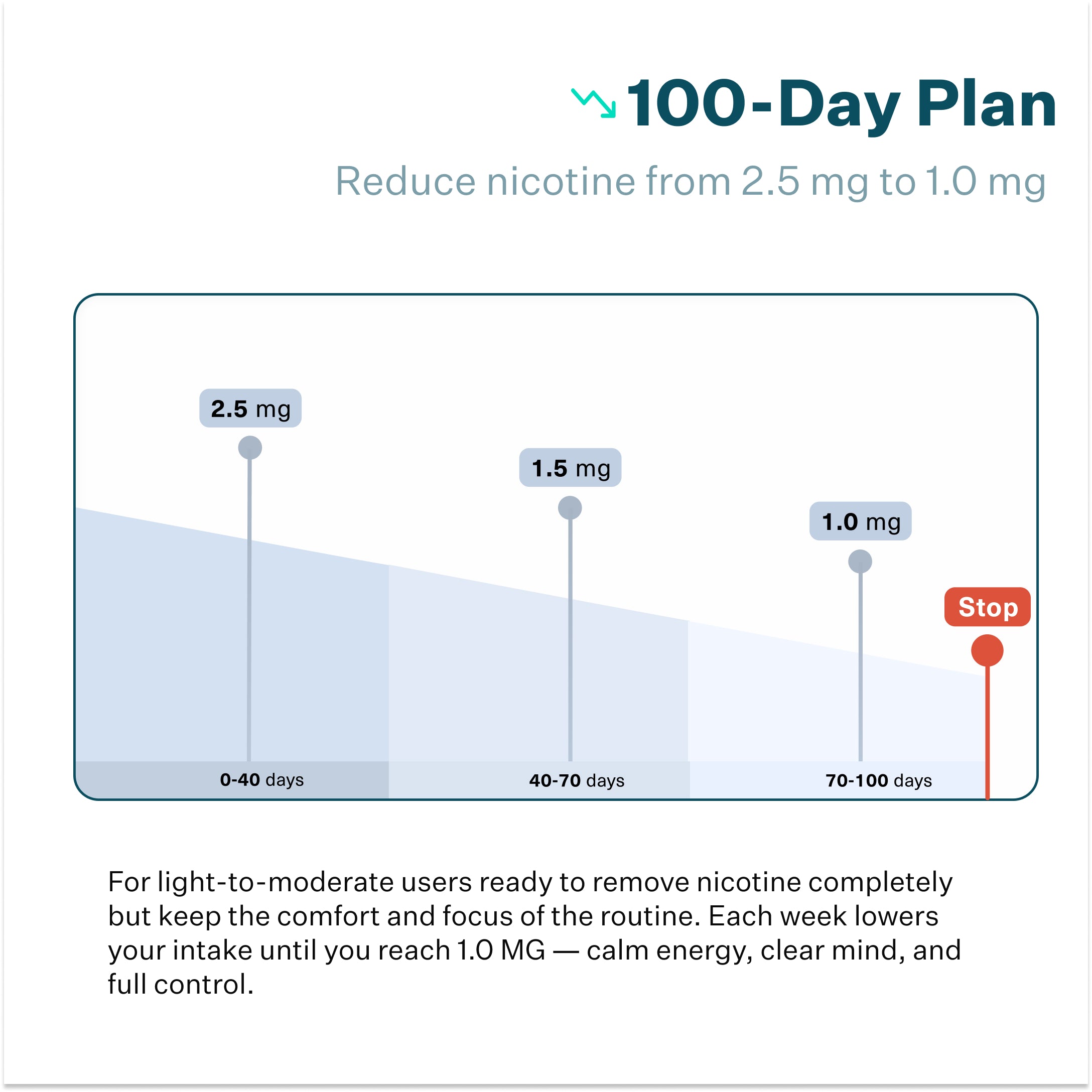 100 Day Reset Plan