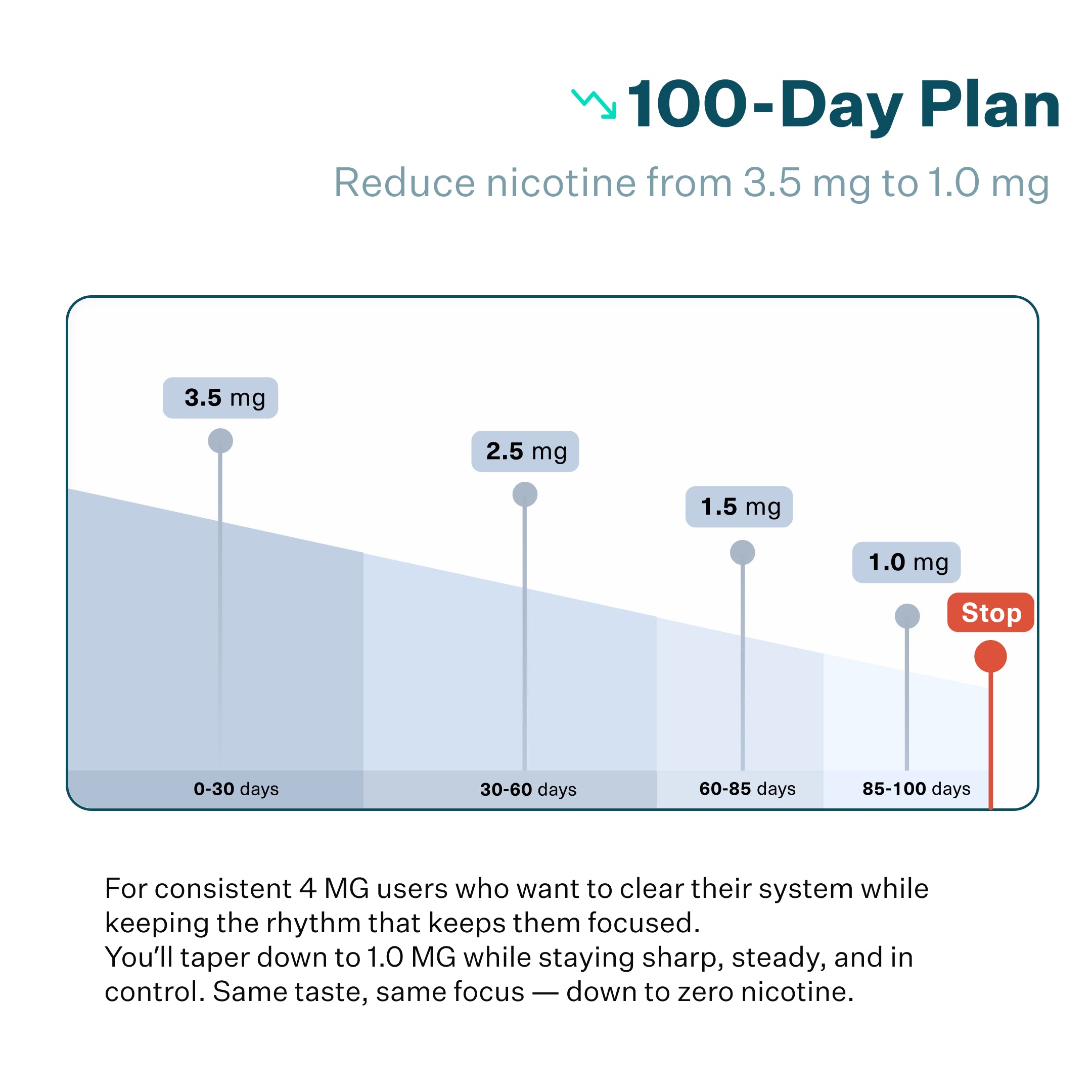 100 Day Reset Plan