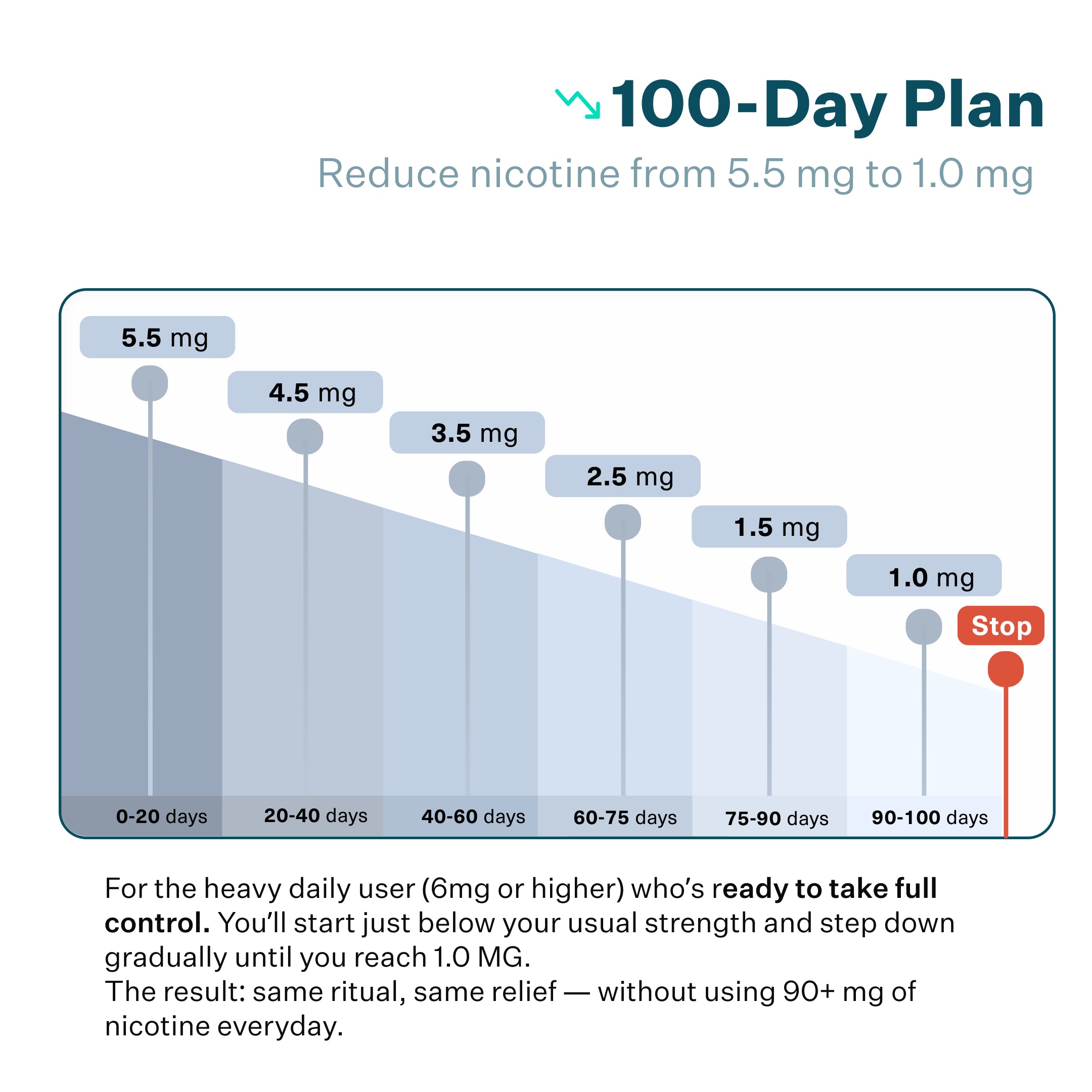 100 Day Reset Plan