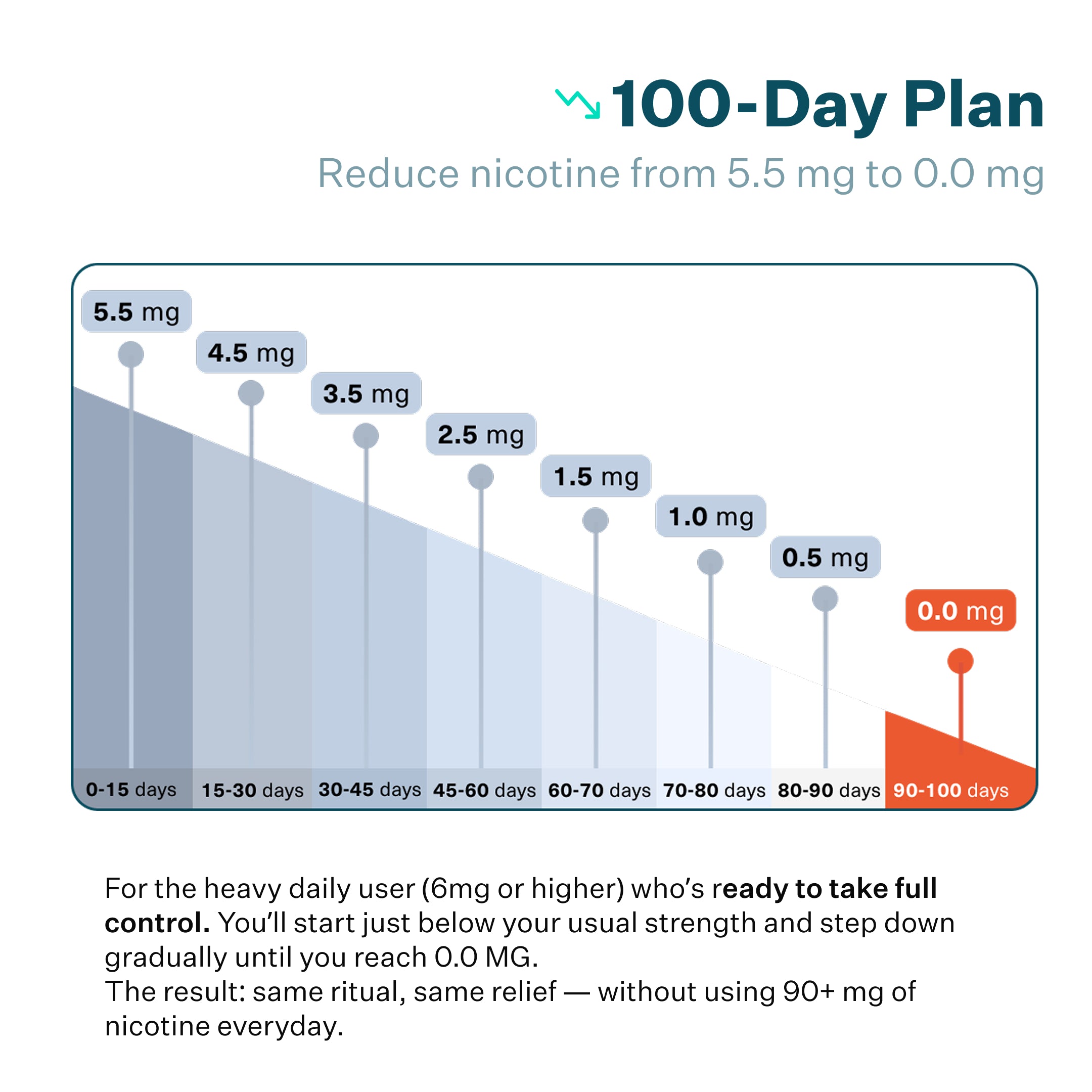 100 Day Reset Plan